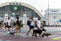 ภาพกิจกรรม