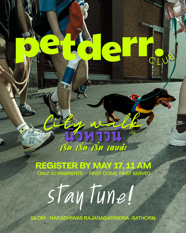 PETDERR CITY WALK นิวทาวน์ #03