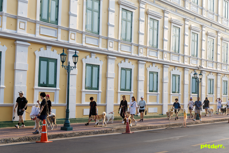 Ministry of Defense HQ
