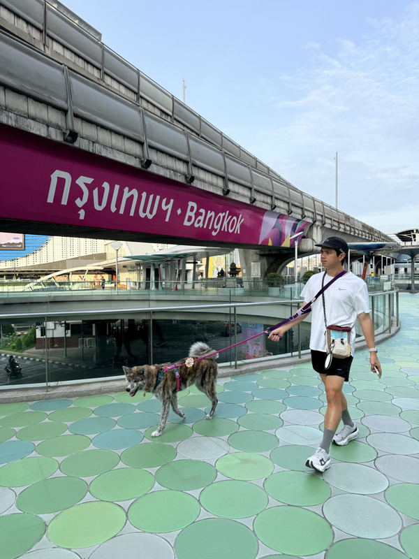 ภาพกิจกรรม