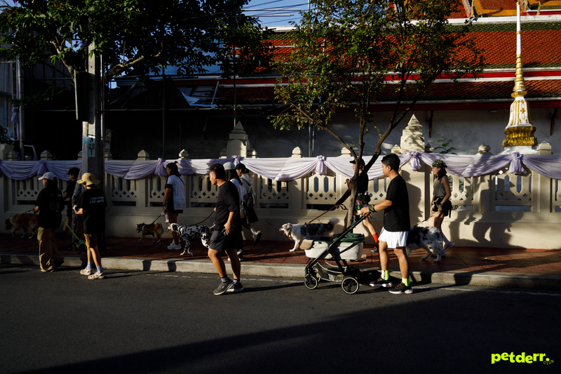 ภาพกิจกรรม