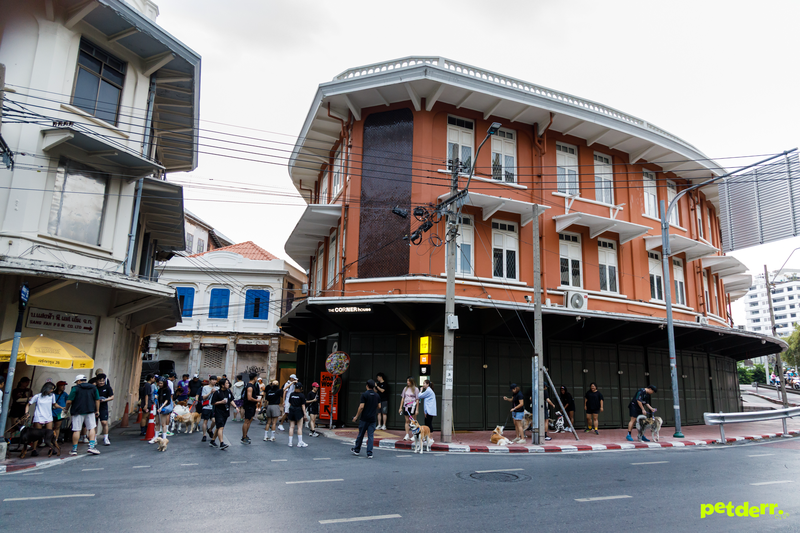Meeting point — The Corner House