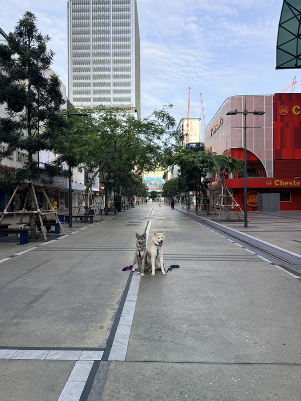 ภาพกิจกรรม