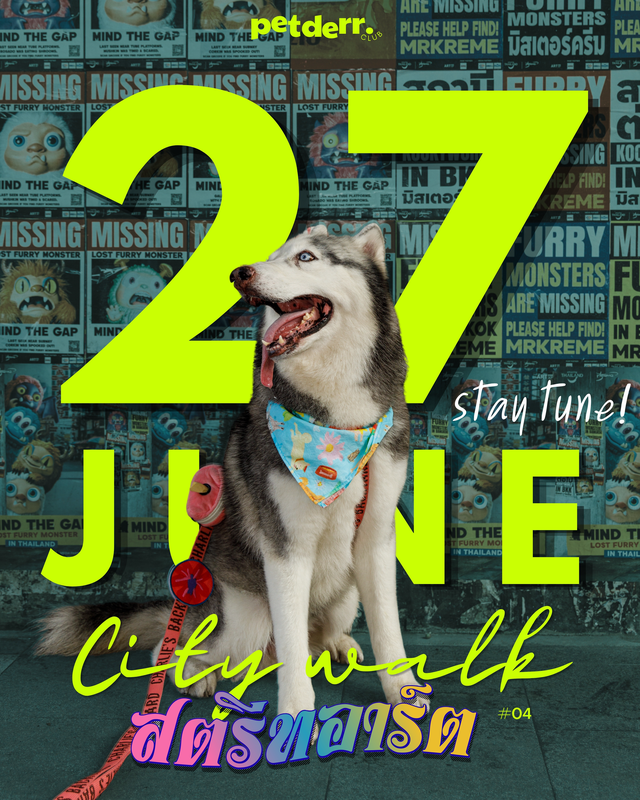PETDERR CITY WALK สตรีทอาร์ต #04