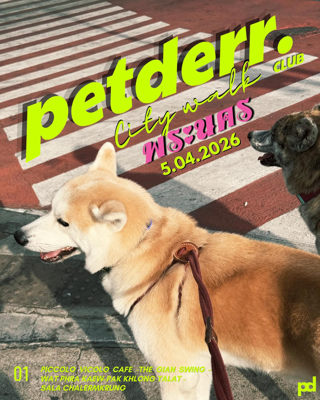 PETDERR CITY WALK พระนคร #01