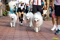 ภาพกิจกรรม