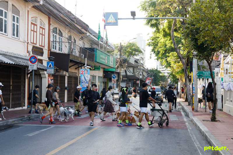 ภาพกิจกรรม