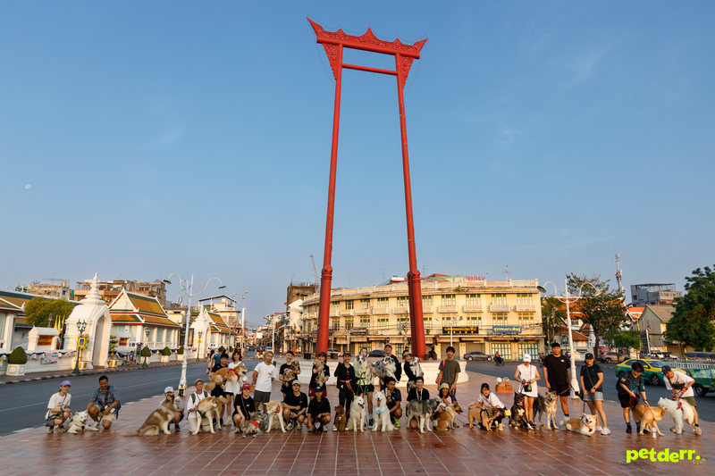 Giant Swing