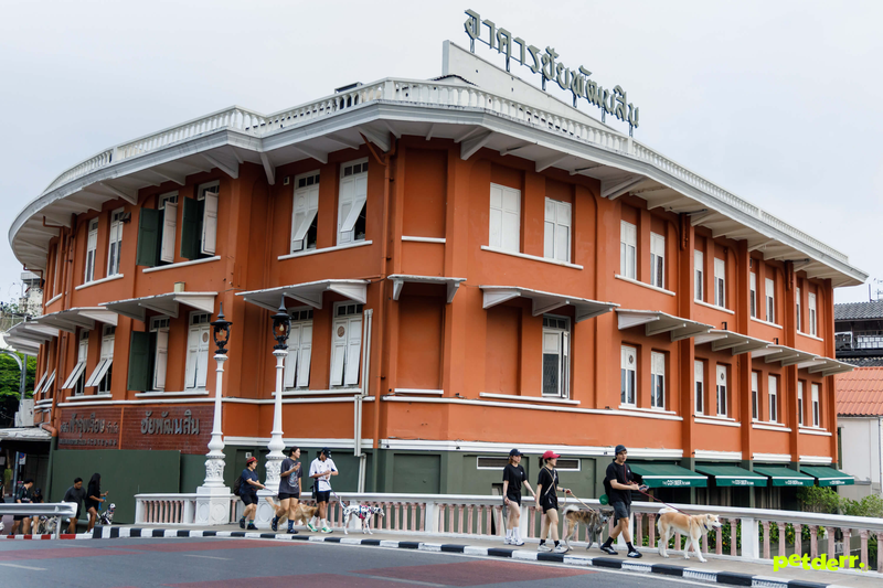 ภาพกิจกรรม