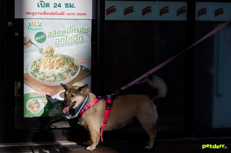 ภาพกิจกรรม