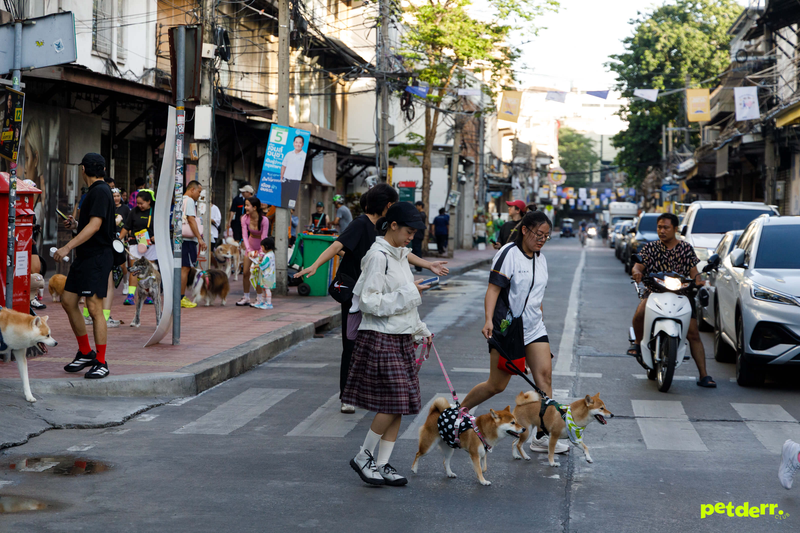 ภาพกิจกรรม