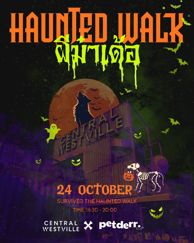 HALLOWEEN WALK ผีม๋าเด้อ