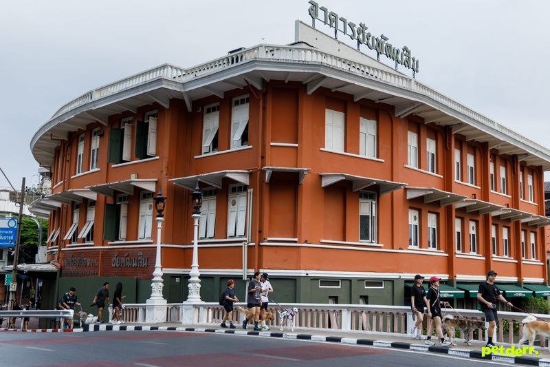 The Corner House