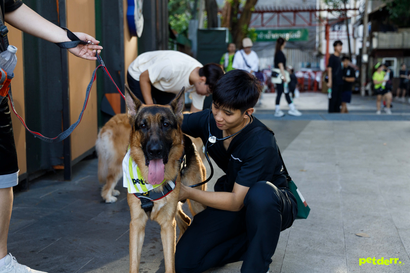 ภาพกิจกรรม