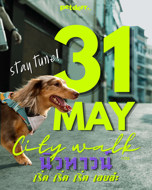 PETDERR CITY WALK นิวทาวน์ #03